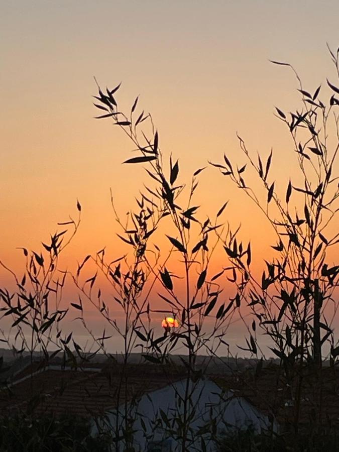 Cabana Mar E Serra Сесимбра Экстерьер фото